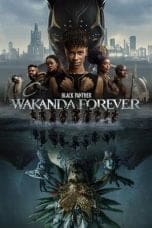 Nonton film Black Panther: Wakanda Forever (2022) idlix , lk21, dutafilm, dunia21
